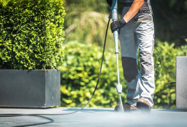 Best Sidewalk and Walkway Cleaning  in Alamo, TN